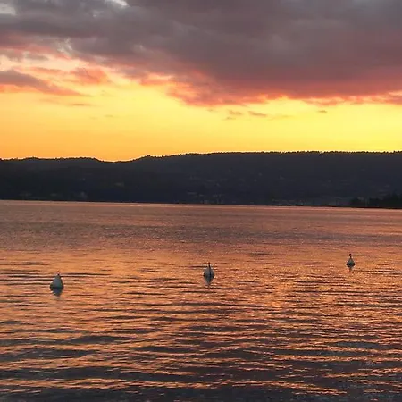 Tenesi Manerba del Garda