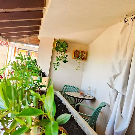Tenesi Hotel 2*